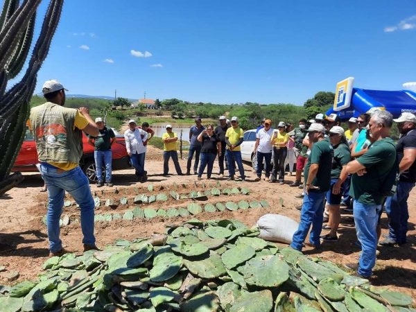 O evento visa demonstrar, na prática, as técnicas e práticas agrícolas e pecuárias mais eficientes e inovadoras. — Foto: Divulgação