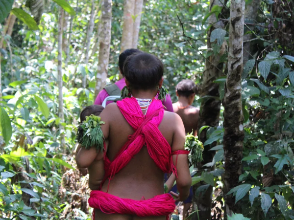 O governo federal apura a denúncia de que 30 meninas Yanomami foram abusadas e engravidaram de garimpeiros ilegais na Terra Yanomami. — Foto: Valéria Oliveira/g1 RR/Roraima